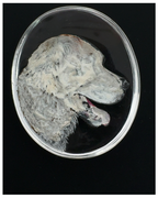 Saint Bernand Dog Portrait Essex Carving
