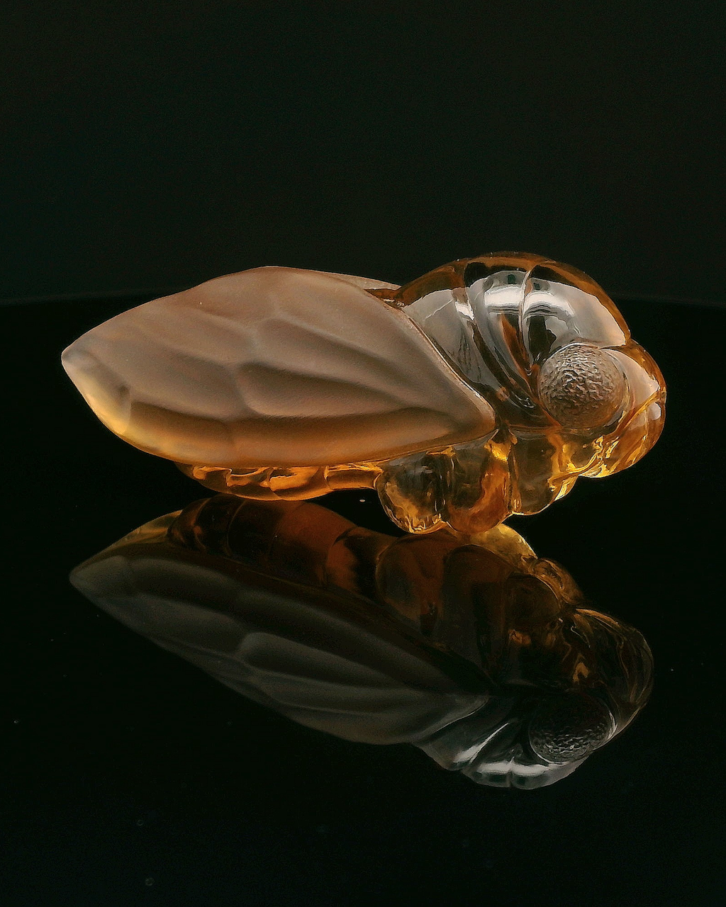 Citrine Cicada