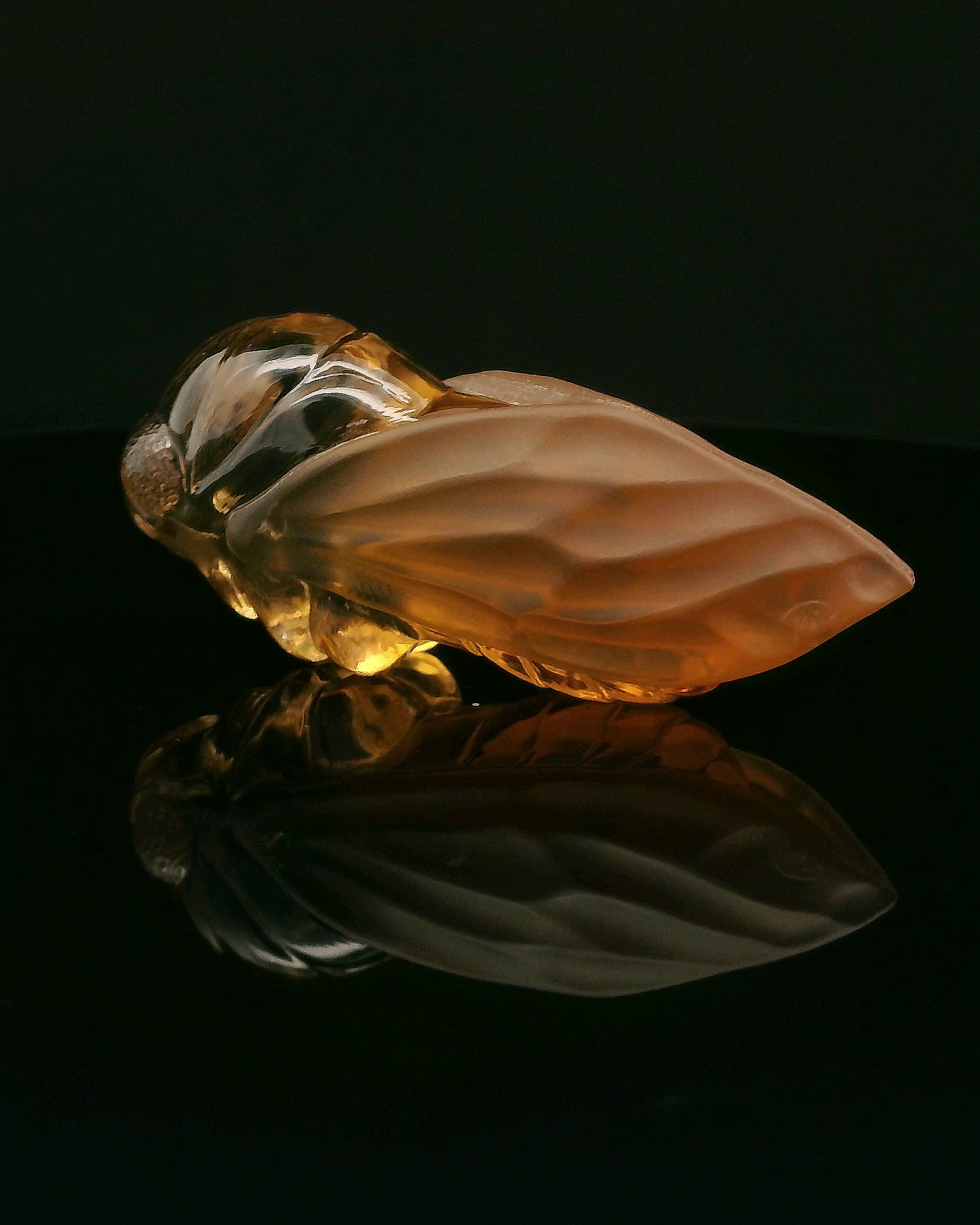 Citrine Cicada