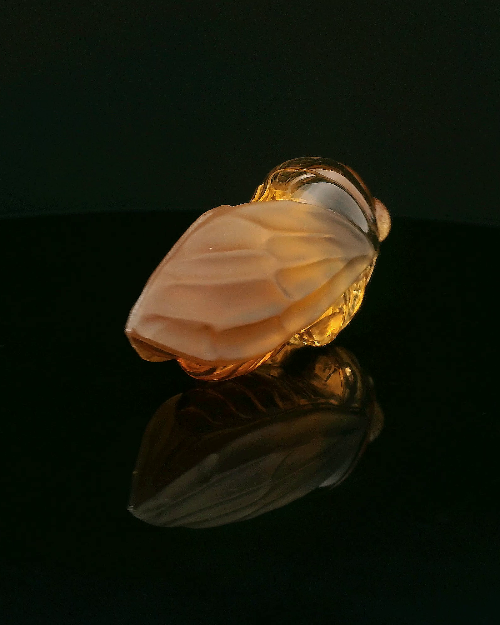 Citrine Cicada