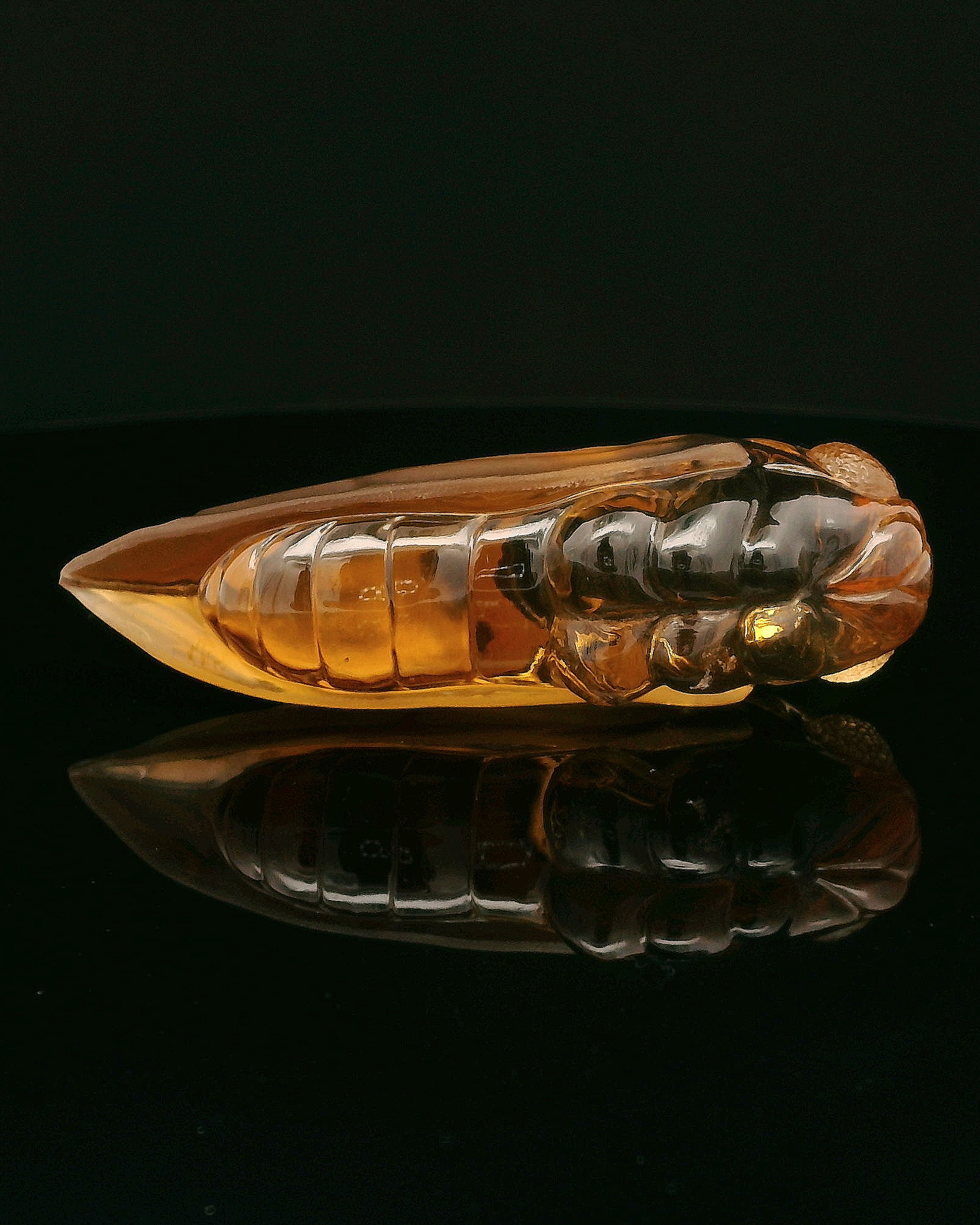 Citrine Cicada