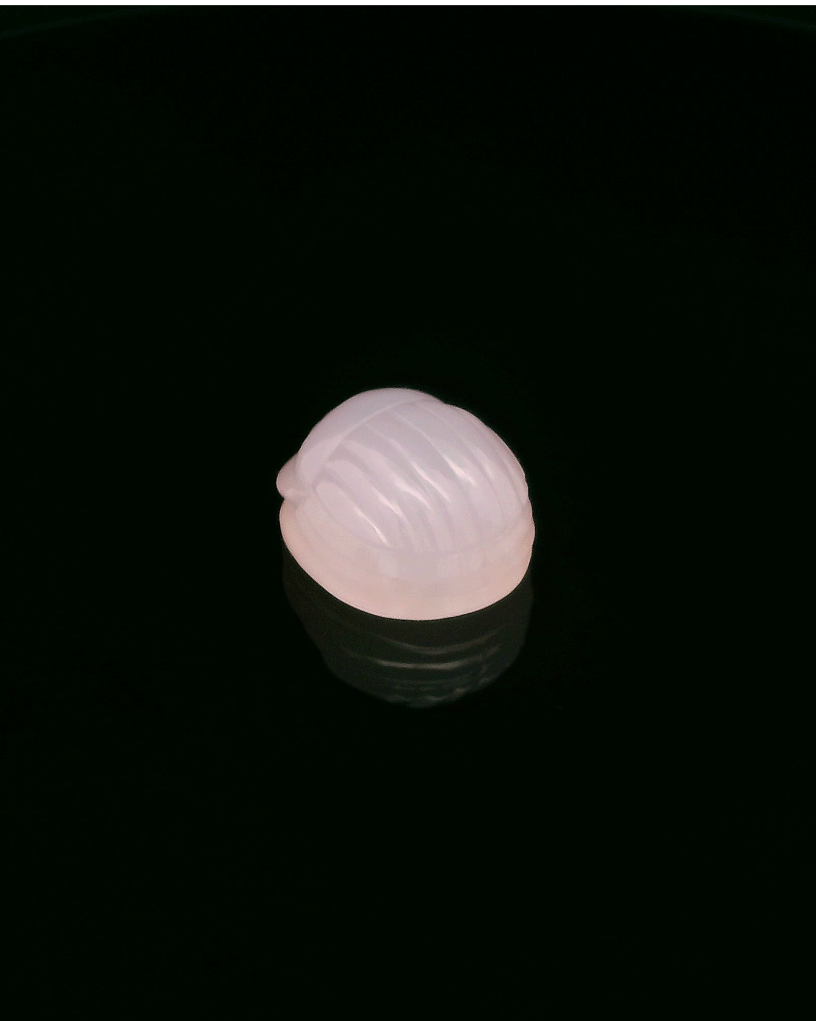 Rose Quartz Beetle