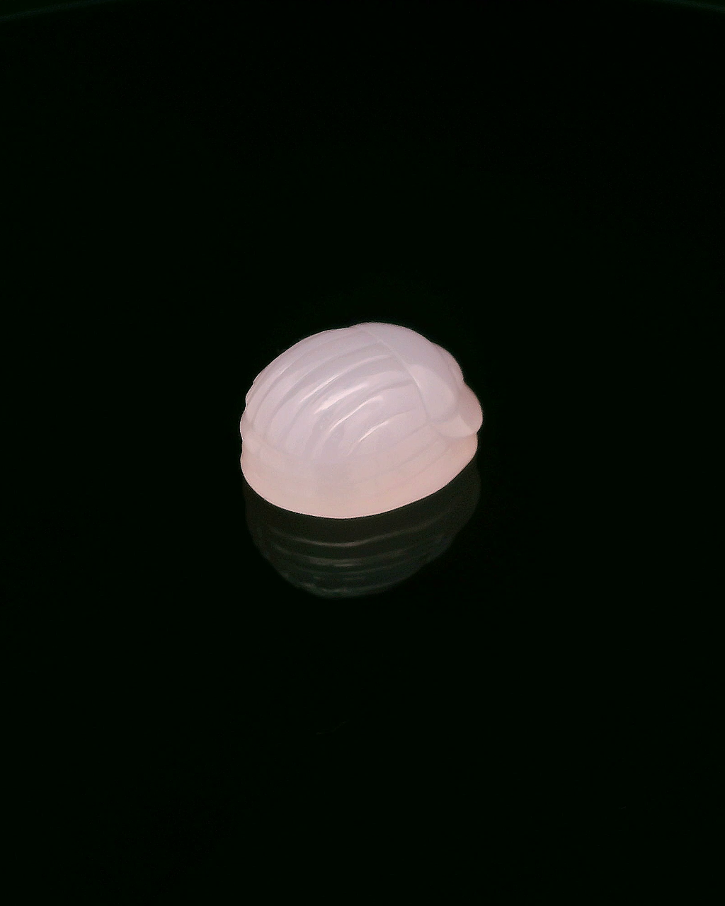 Rose Quartz Beetle