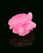 Macedonian Ruby Turtle