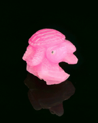 Macedonian Ruby Turtle