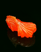 Madarine Garnet Fish