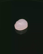 Rose Quartz Beetle