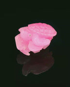 Macedonian Ruby Turtle