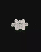 Crystal Snowflake