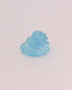 Aquamarine Seashell