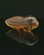 Citrine Cicada