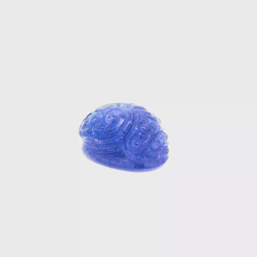 Tanzanite Scarab Carving